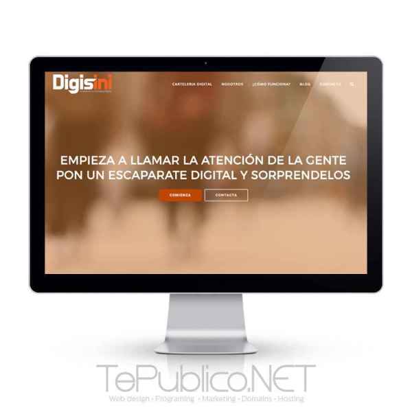Digisini